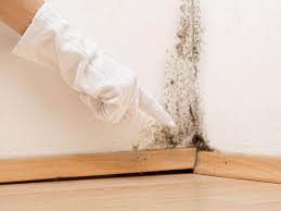 Trusted Ransom Canyon, TX Mold Prevention & Removal  Experts